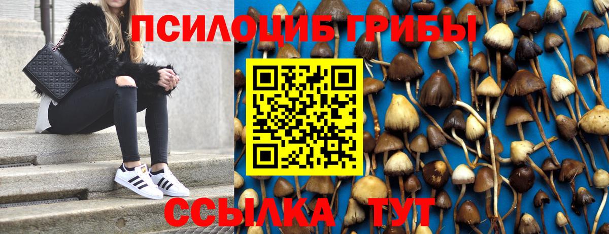 Зерноград  Галлюциногенные грибы Magic Shrooms  купить  сайты  Вход с VPN  Псилоцибиновые грибы MAGIC MUSHROOMS 