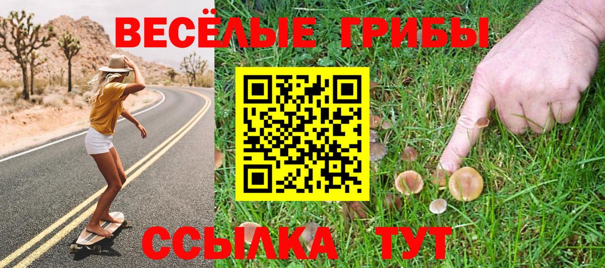 Псилоцибиновые грибы Magic Shrooms Зерноград